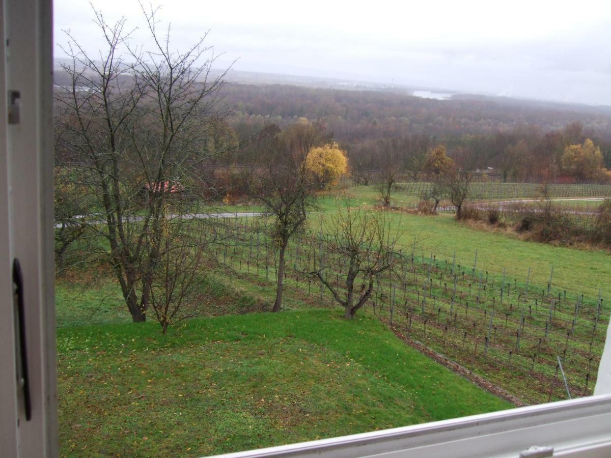 Ferienwohnung Rheinblick Bad Bellingen Luaran gambar