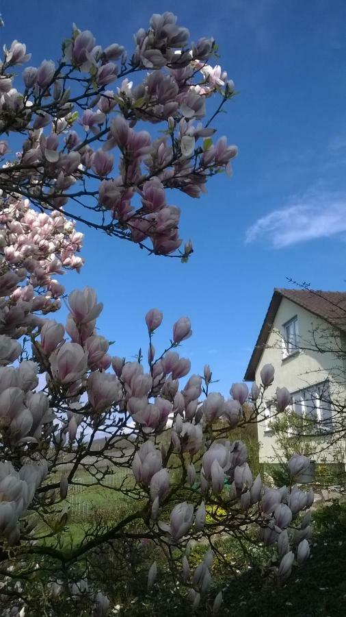 Ferienwohnung Rheinblick Bad Bellingen Luaran gambar