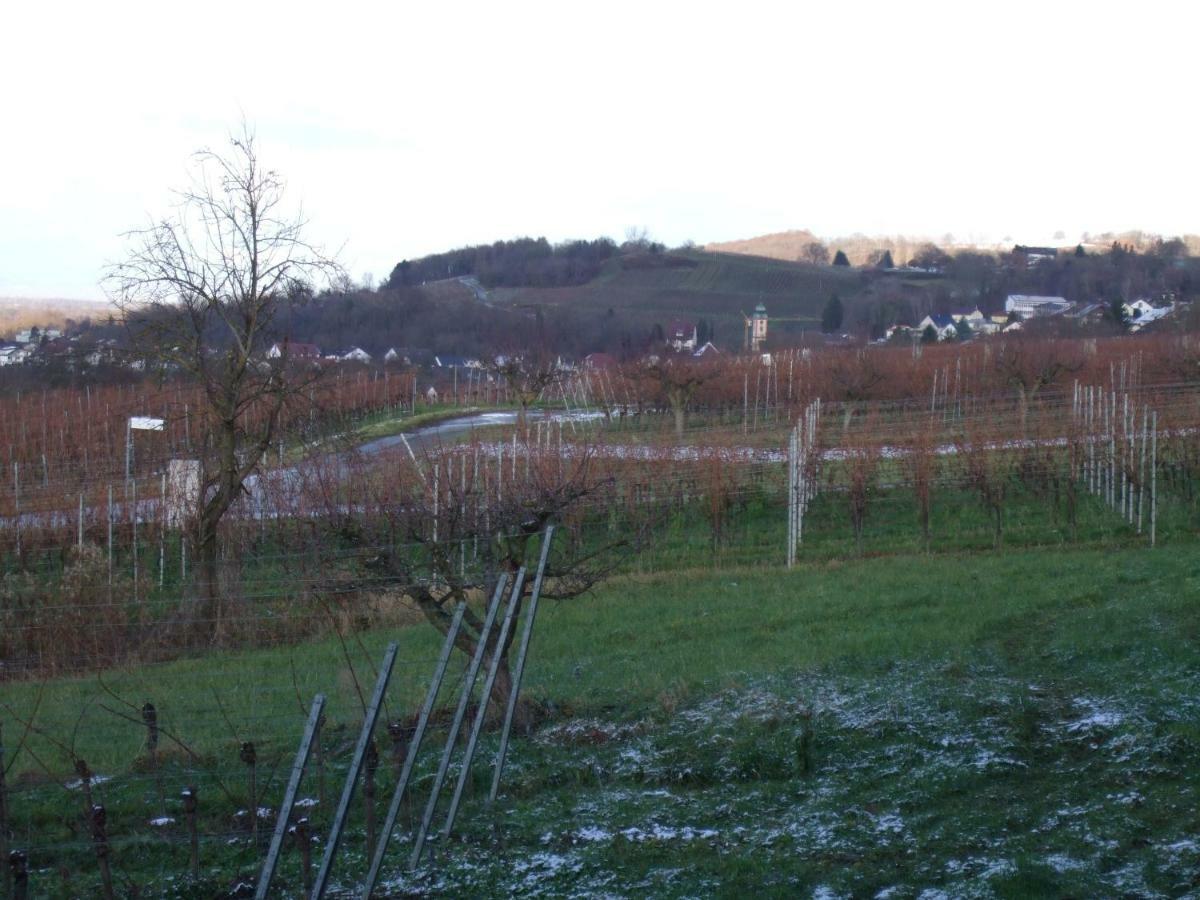 Ferienwohnung Rheinblick Bad Bellingen Luaran gambar