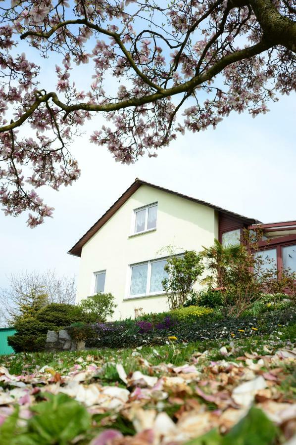 Ferienwohnung Rheinblick Bad Bellingen Luaran gambar