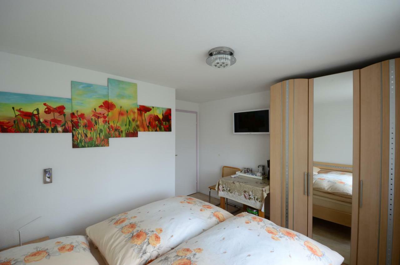 Ferienwohnung Rheinblick Bad Bellingen Luaran gambar