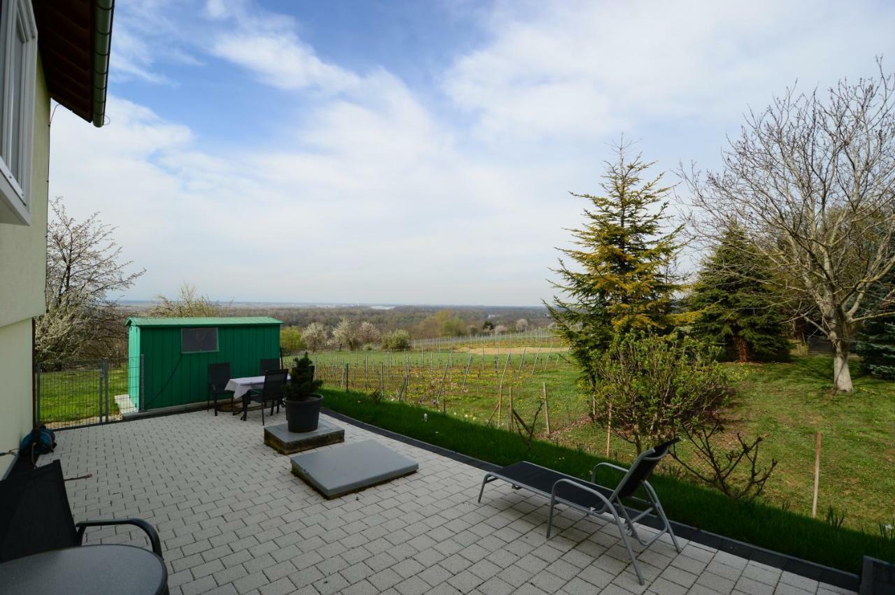 Ferienwohnung Rheinblick Bad Bellingen Luaran gambar